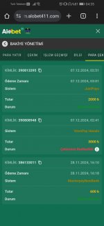Screenshot_20241207_043553_com.android.chrome.jpg