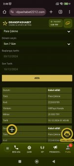 Screenshot_2024-12-10-03-46-34-470_com.android.chrome.jpg