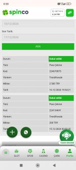 Screenshot_2024-12-17-00-50-47-815_com.android.chrome.jpg