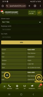 Screenshot_20241223_231943_Chrome.jpg