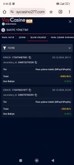 Screenshot_2024-12-29-00-44-29-229_com.android.chrome.jpg