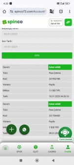 Screenshot_2025-01-10-04-32-58-474_com.android.chrome.jpg