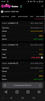 Screenshot_20250129-014759093.png