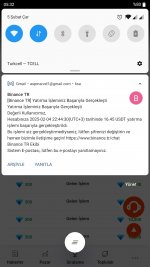 Screenshot_20250205-193156.jpg