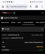 Screenshot_20250311_185440_Chrome.jpg