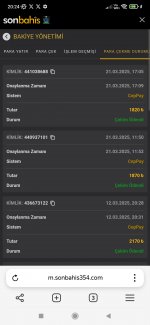Screenshot_2025-03-21-20-24-00-367_com.yandex.browser.jpg