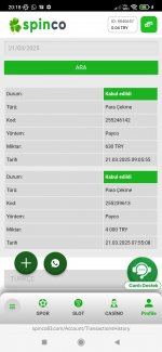 Screenshot_2025-03-21-20-18-17-056_com.yandex.browser.jpg