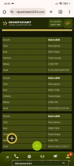 Screenshot_2025-03-31-16-40-57-272_com.android.chrome.jpg