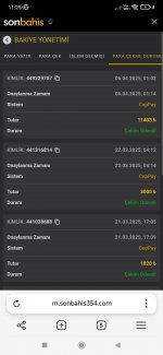 Screenshot_2025-04-06-11-25-05-690_com.yandex.browser.jpg