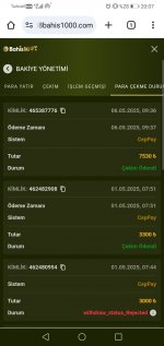 Screenshot_20250506-200712.jpg