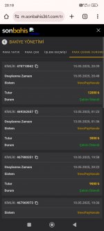 Screenshot_2025-05-16-20-18-05-667_com.android.chrome.jpg