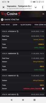 Screenshot_20250525-023123.png