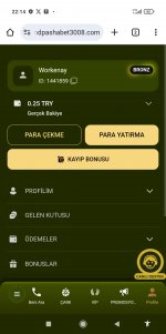 Screenshot_2025-06-12-22-14-12-636_com.android.chrome.jpg
