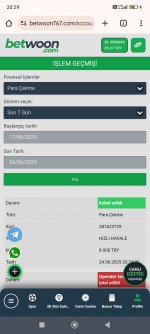 Screenshot_2025-06-24-20-29-32-727_com.android.chrome.jpg