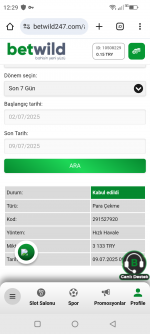 Screenshot_20250709-122937.png
