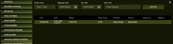Ekran görüntüsü 2025-07-12 202141.png