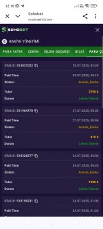 Screenshot_2025-07-29-12-16-22-703_com.android.chrome.jpg