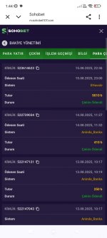 Screenshot_2025-08-16-01-44-30-782_com.android.chrome.jpg