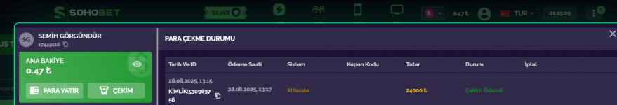 1756419921471.png