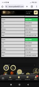 Screenshot_2025-09-14-11-19-07-843_com.android.chrome.jpg