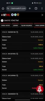 Screenshot_2025-09-17-05-11-41-95_40deb401b9ffe8e1df2f1cc5ba480b12.jpg
