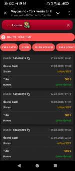 Screenshot_20250917-201313.png
