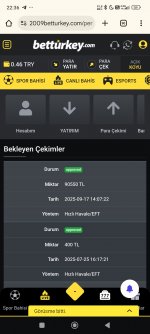 Screenshot_2025-09-17-22-36-29-705_com.android.chrome.jpg
