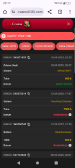 Screenshot_20250918-231713.png