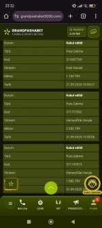 Screenshot_2025-09-21-23-32-09-243_com.android.chrome.jpg