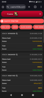 Screenshot_20250924-234306.png