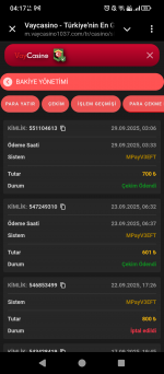 Screenshot_20250929-041700.png