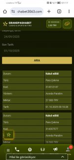Screenshot_20251001_011745_com.android.chrome.jpg