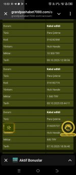 Screenshot_20251011-135313.jpg