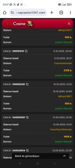 Screenshot_2025-10-12-23-08-00-004_com.android.chrome.jpg
